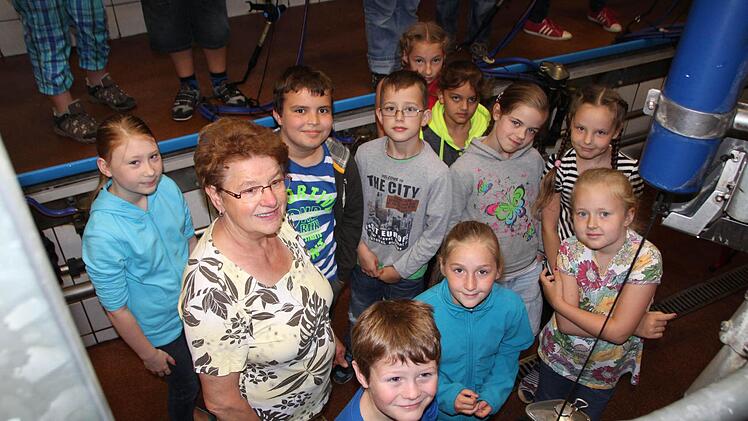 Die Schüler der Klasse 3a begutachten den Melkstand.