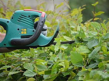 Kitzingen: Gehwege und Straßen von Überhang befreien - warum Grundstücksbesitzer gefordert sind Kitzingen: Gehwege und Straßen von Überhang befreien - warum Grundstücksbesitzer gefordert sind