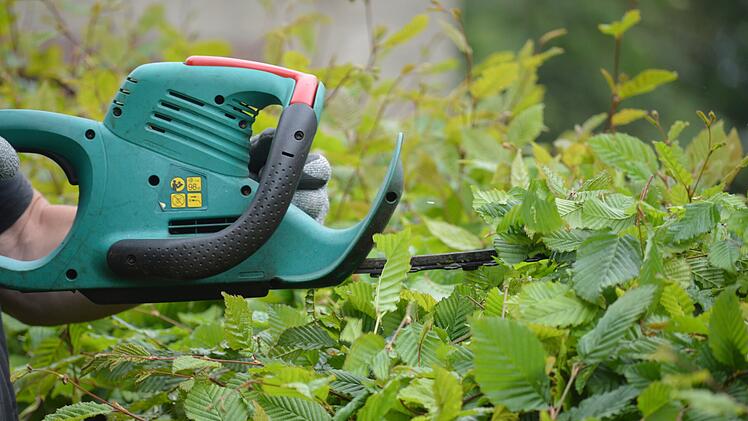 Kitzingen: Gehwege und Stra&szlig;en von &Uuml;berhang befreien - warum Grundst&uuml;cksbesitzer gefordert sind