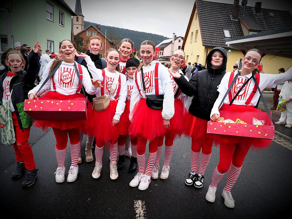 Fasching 2024 in Steinach