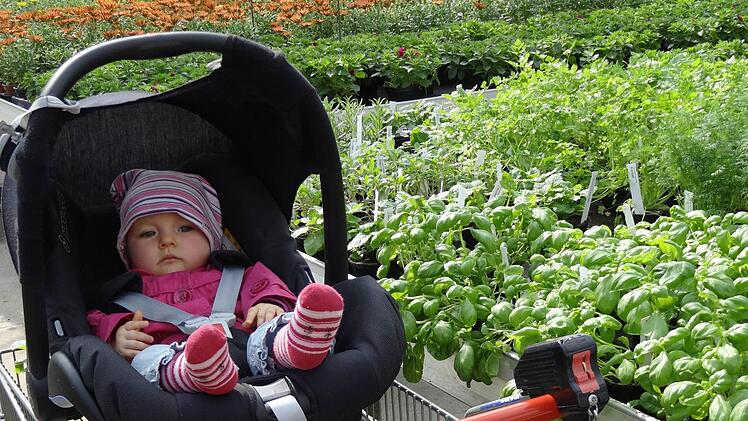 Während Mama Blumen aussucht, wird der Nachwuchs zwischen wohlriechenden Kräutern abgestellt.