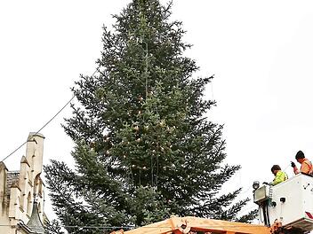 Mit Baumaschinen wurde der Weihnachtsbaum auf dem Marktplatz verankert.  Foto: S. v. Dobschütz