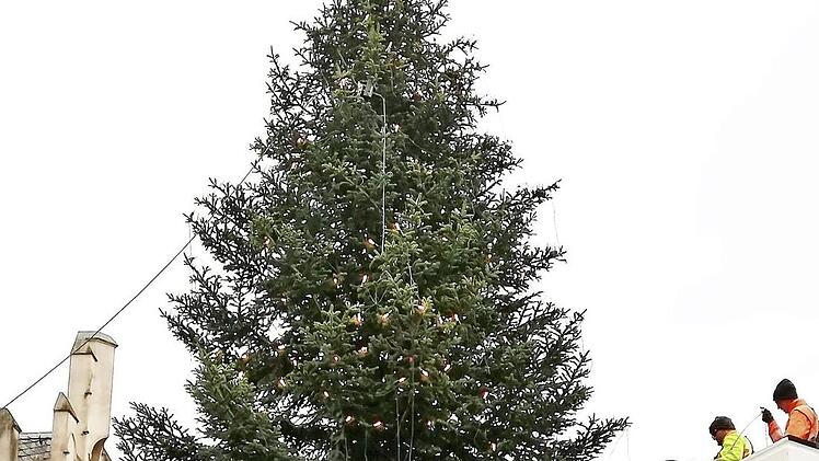 Mit Baumaschinen wurde der Weihnachtsbaum auf dem Marktplatz verankert.  Foto: S. v. Dobschütz