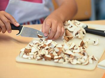 Welche Unterschiede gibt es bei Champignons?