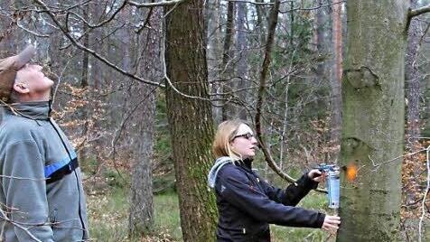 Die Forstanwärterin und Forstamtmann Wolfgang Meiners zeichnen Bäume aus, die demnächst gefällt werden.