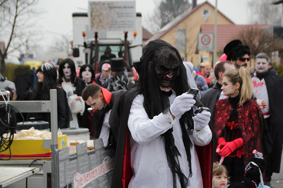 Faschingsumzug in Oberhaid