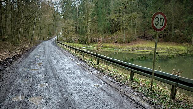 Mit Kosten von knapp 30 000 Euro soll die Gemeindeverbindungsstra&szlig;e von Oberlaitsch nach Trebgast (unser Bild) saniert werden. Bei k&uuml;nftigen Stra&szlig;ensch&auml;den, die durch R&uuml;ckearbeiten im Staatsforst entstehen, sollen k&uuml;nftig allerdings die Bayerischen Staatsforsten in die Pflicht genommen werden. Werner Rei&szlig;aus