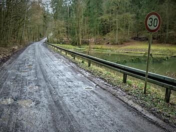Mit Kosten von knapp 30 000 Euro soll die Gemeindeverbindungsstraße von Oberlaitsch nach Trebgast (unser Bild) saniert werden. Bei künftigen Straßenschäden, die durch Rückearbeiten im Staatsforst entstehen, sollen künftig allerdings die Bayerischen Staatsforsten in die Pflicht genommen werden. Werner Reißaus