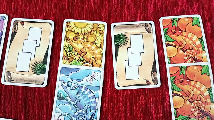 Spiele-Test Coloretto: Kunterbuntes Familien-Kartenspiels