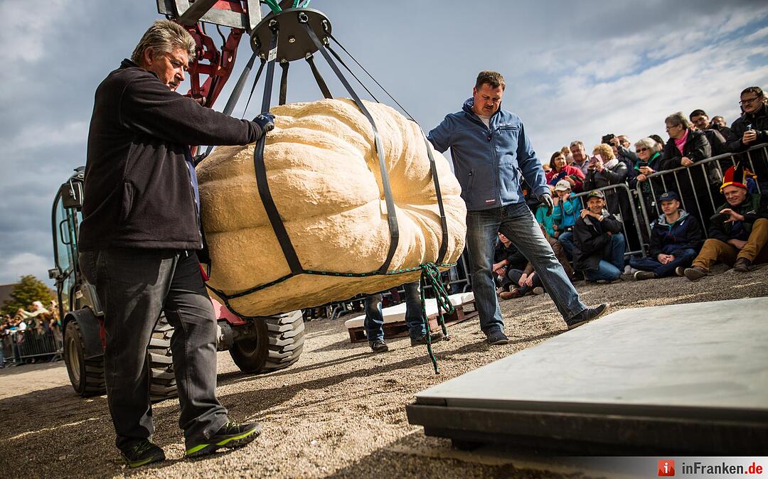 Europameisterschaft im Kürbiswiegen