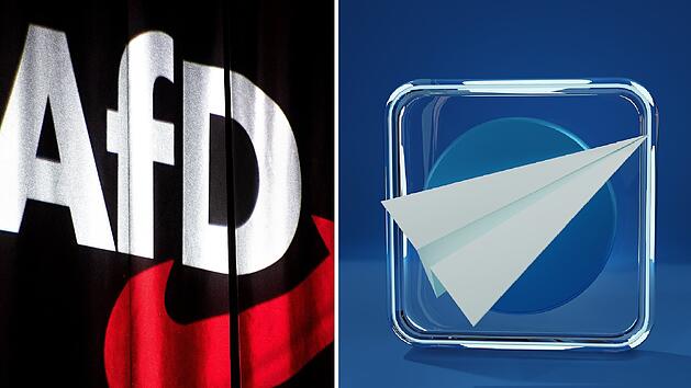 "Bürgerkrieg" und "Bananenland" - interner AfD-Chat sorgt für Empörung