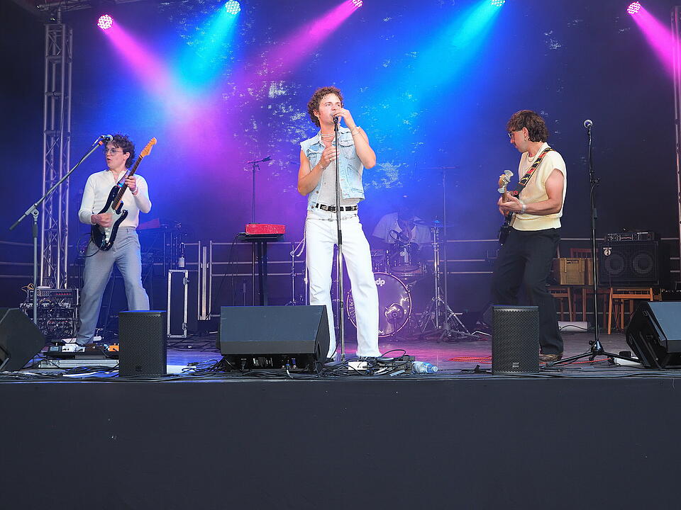 Das Fest fand im Schlosspark statt.