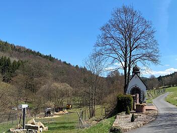 Der Weiler Heckmühle ist das erste Ziel der hier empfohlenen Wandertour durch das Schondratal. Foto: Thomas Pfeuffer