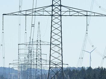 Die vorgesehene Stromtrasse beschäftigte den Kreisausschuss. Die Masten, die doppelt so hoch werden können wie die hier zu sehenden "normalen" Masten, möchten die Kreisräte gerne außerhalb des Landkreises Kronach angesiedelt wissen. Foto: Archiv/Ronald Rinklef