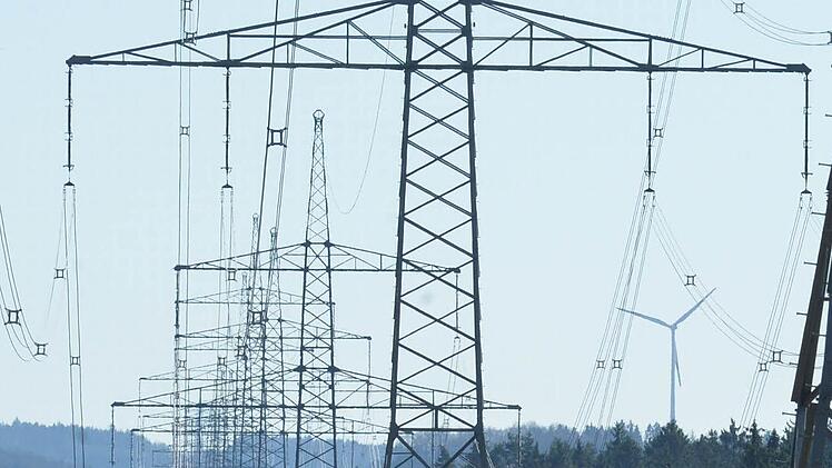 Die vorgesehene Stromtrasse beschäftigte den Kreisausschuss. Die Masten, die doppelt so hoch werden können wie die hier zu sehenden "normalen" Masten, möchten die Kreisräte gerne außerhalb des Landkreises Kronach angesiedelt wissen. Foto: Archiv/Ronald Rinklef