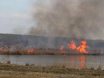 Hier waren keine Brandstifter am Werk. Das brennende Schilf ist eine Landschaftspflegemaßnahme. Fotos: Karina Brock