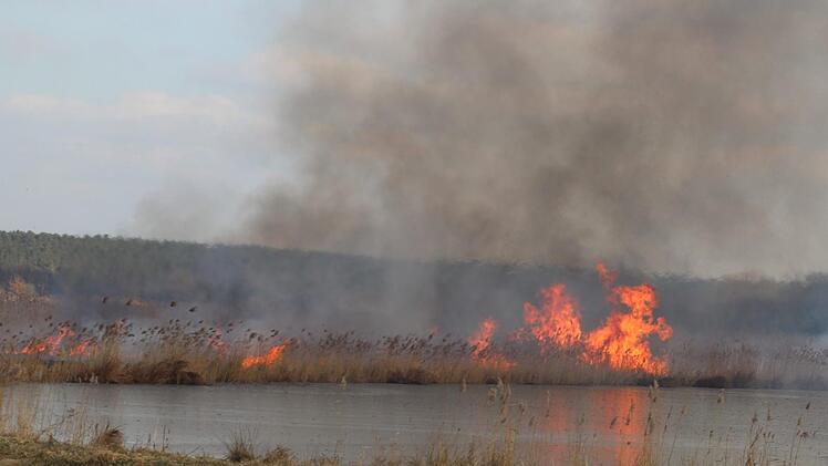 Hier waren keine Brandstifter am Werk. Das brennende Schilf ist eine Landschaftspflegemaßnahme. Fotos: Karina Brock