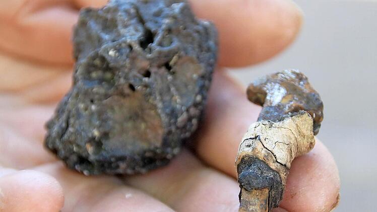 Ein historischer Nagel und dieser Vulkanstein steckten im Baum.Foto: Heike Beudert